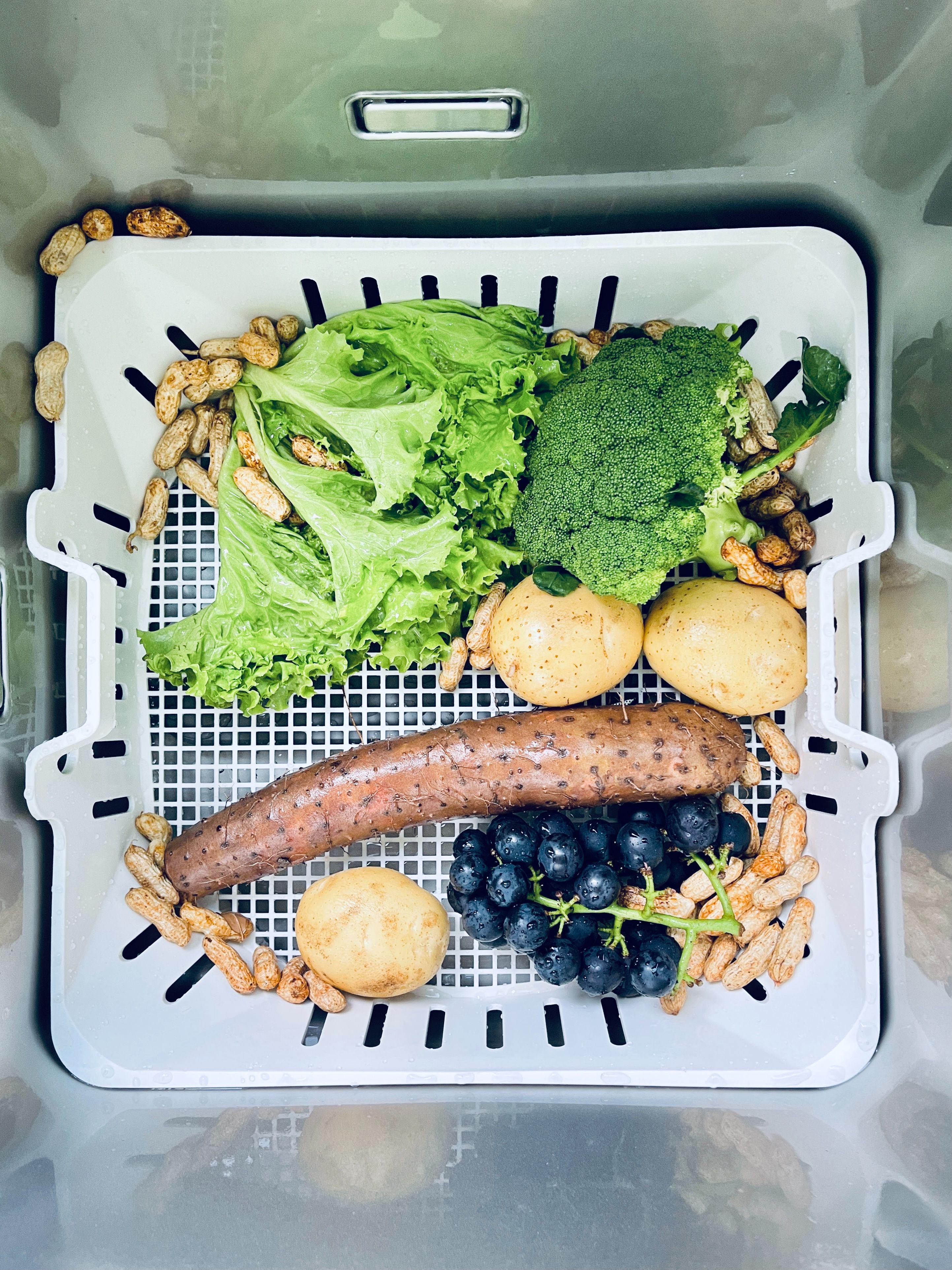 水槽洗碗机到底实不实用,不吹不黑评测视频