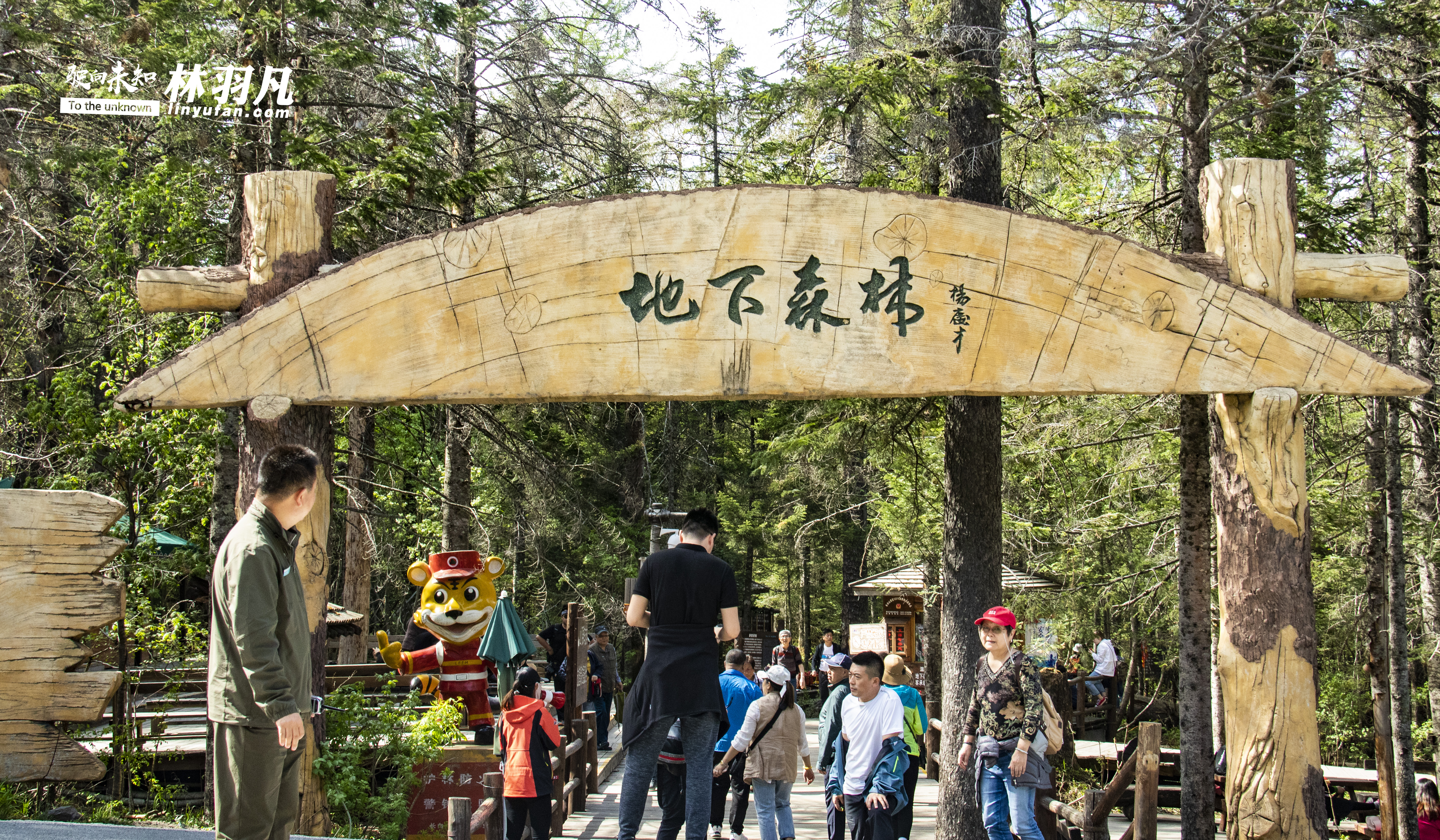 自驾游长白山天池,自驾去长白山天池怎么买门票