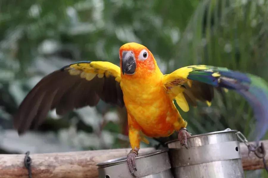 最近新出的性价比高的相机,近三年新发布的相机