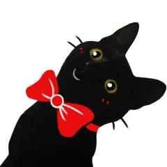 黑猫真的能看到人看不到的东西吗,黑猫真的有那么可怕吗