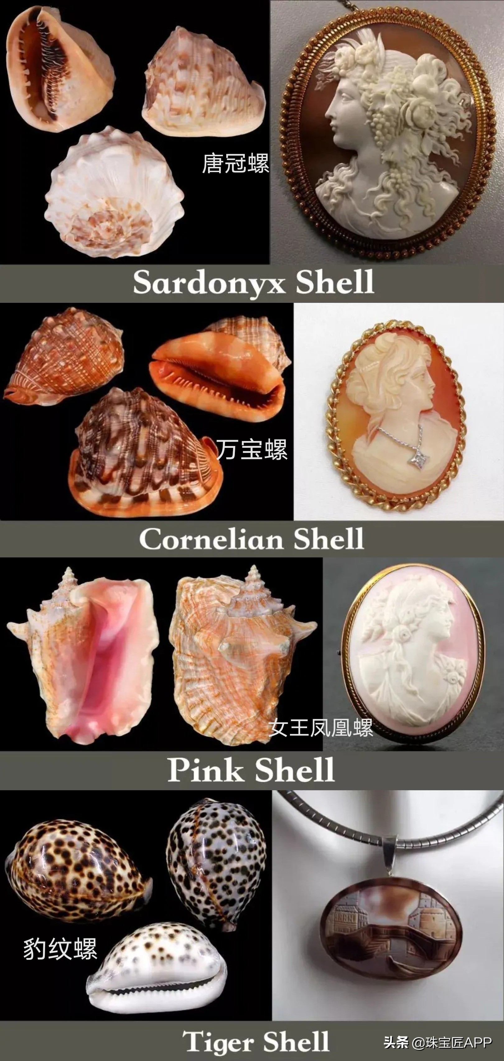 贝壳手工珠宝首饰,贝壳珠宝有哪些