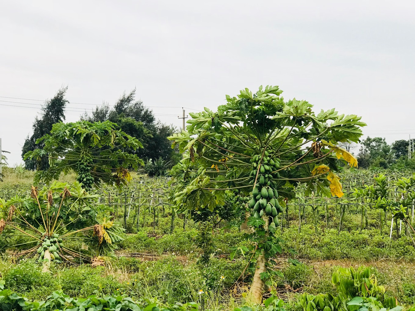 北海旅游攻略北海哪点买海鲜便宜,北海旅游怎么玩最合适