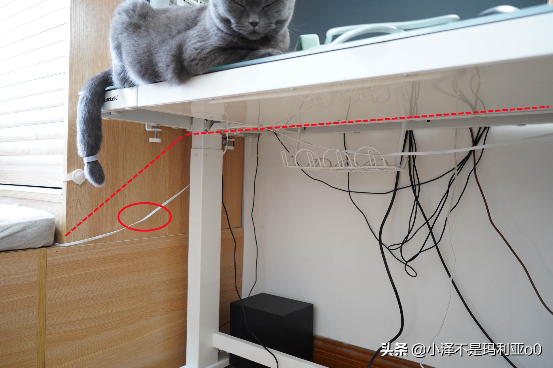 沉浸式整理书桌大改造不用收纳盒,桌面收纳整理神器省钱