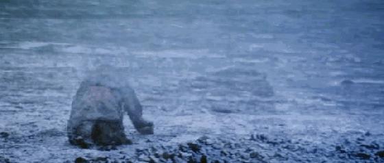 被禁十年他还是学不会弯腰