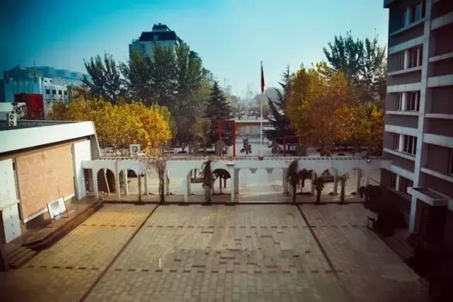 山师附中,山师附中历下区