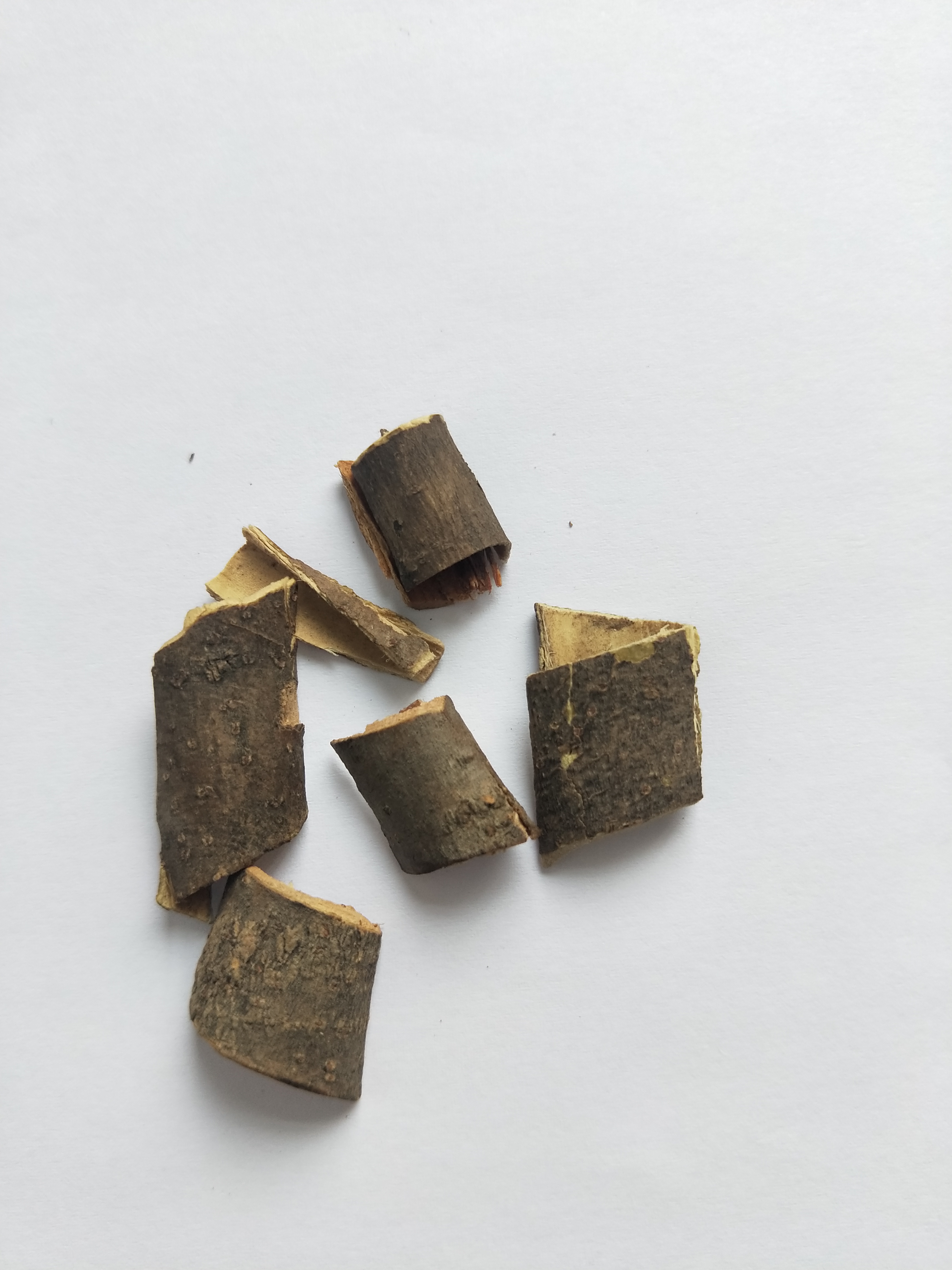 药用植物秦皮,秦皮和秦艽是同一味中药吗