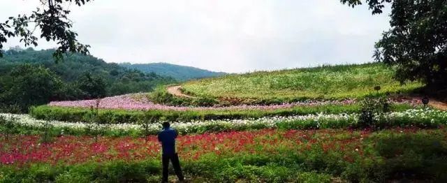 被称为上帝的指纹的图形,上帝的指纹景区