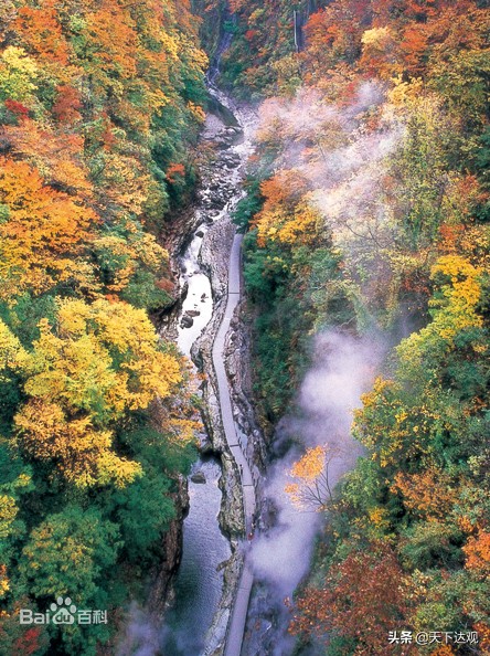 日本秋田县三大特产,秋田县
