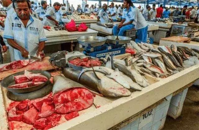 迪拜最有钱小孩子,迪拜沙特哪个有钱