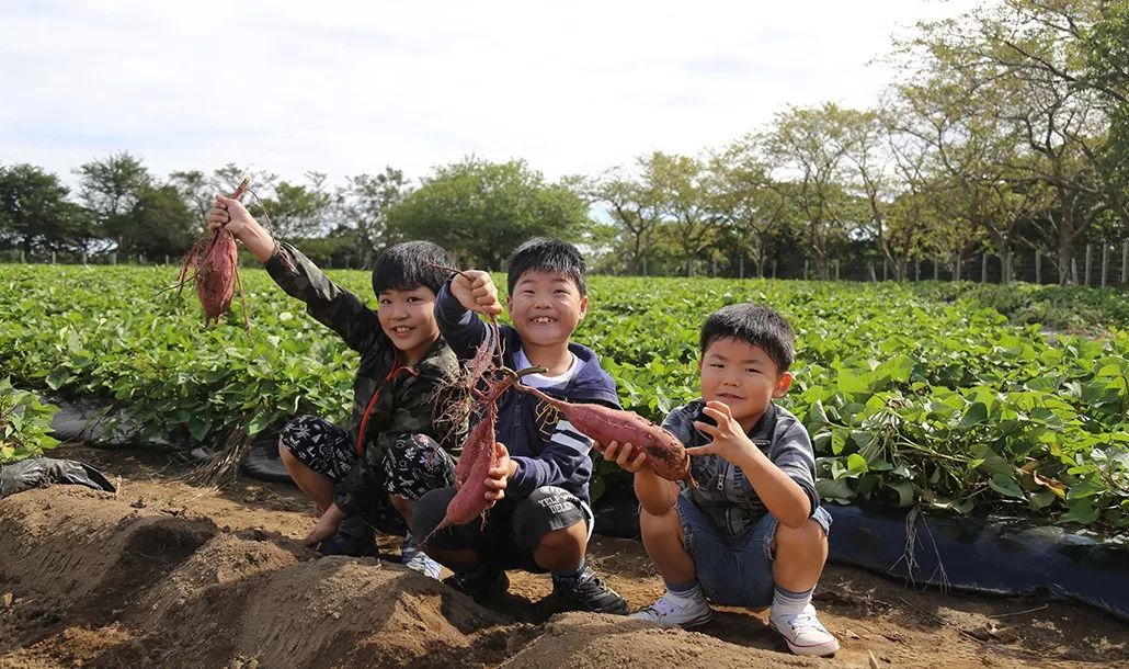 日本生态农业庄园,日本田园农场排行榜