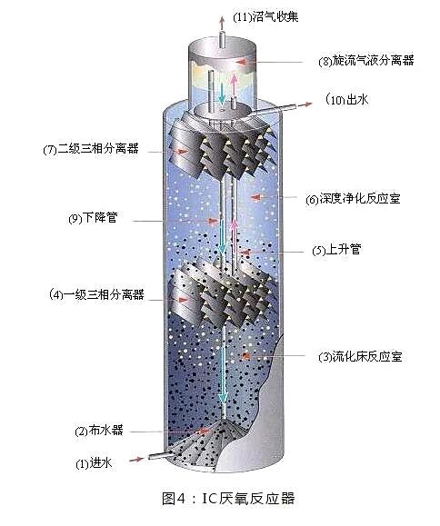 abr厌氧反应器结构图,厌氧反应器内部结构图