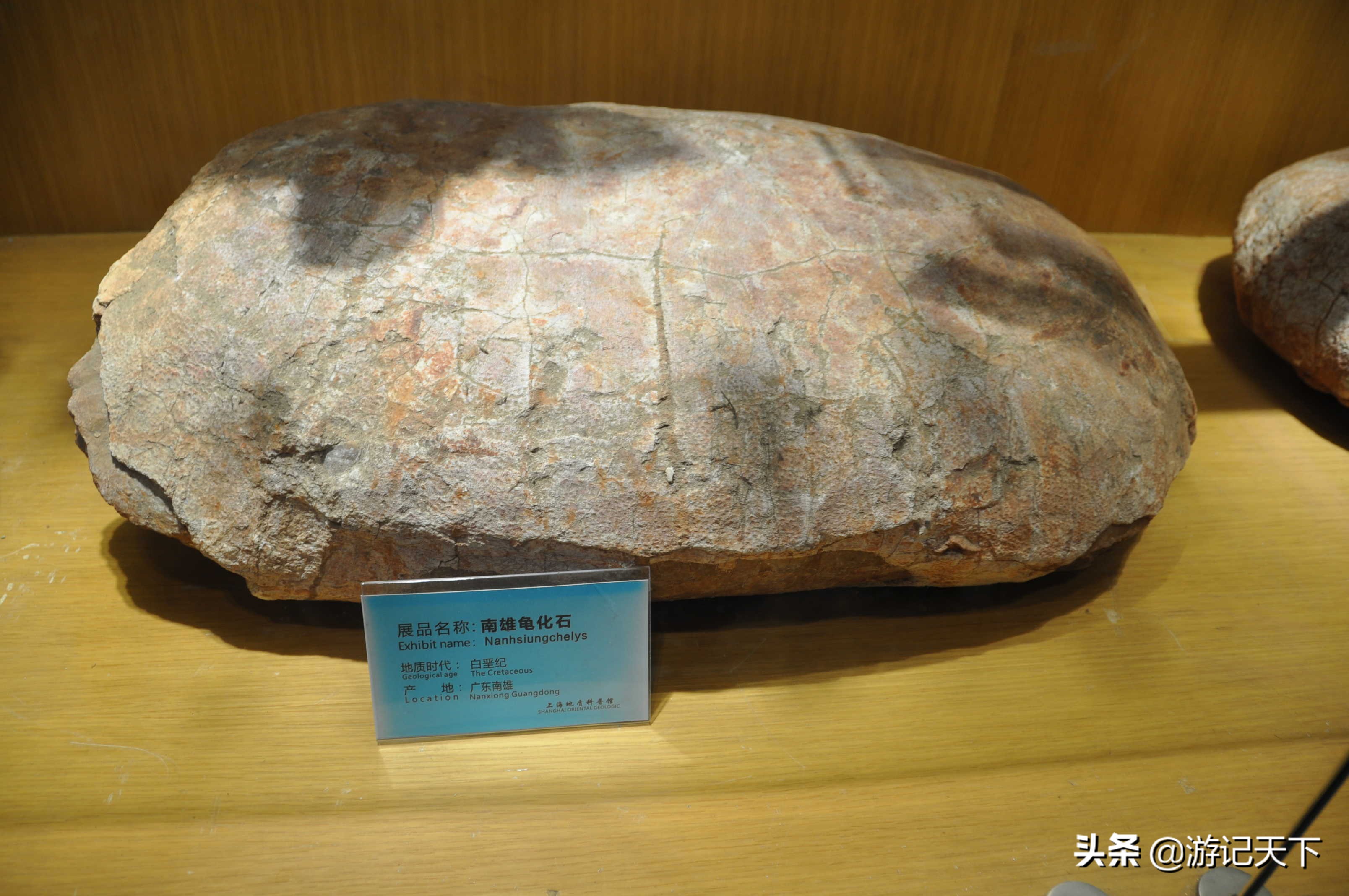 参观上海东方地质科普馆,上海东方地质科普馆需要预约吗