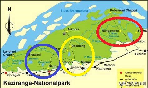 老虎杀犀牛全过程,老虎猎杀犀牛过程