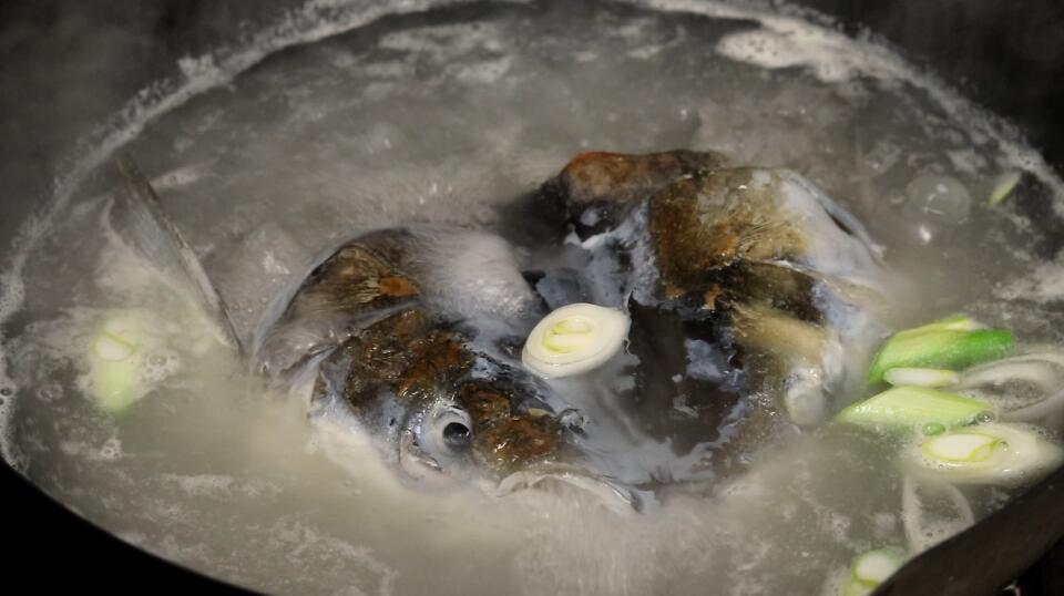 为什么煮鱼汤冷水不白,炖鱼汤为什么是白汤呢