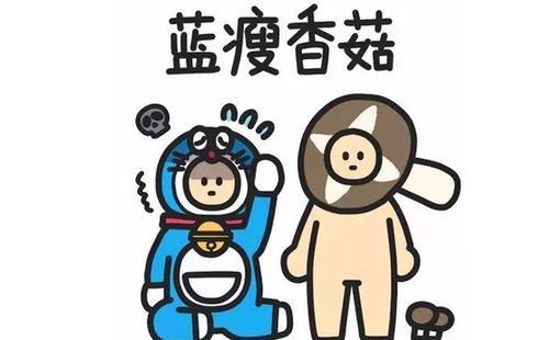 2017年十大年度神曲你听过几首,2017年神曲盘点