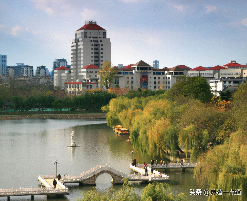 毛永江扬州大学副教授,毛永江