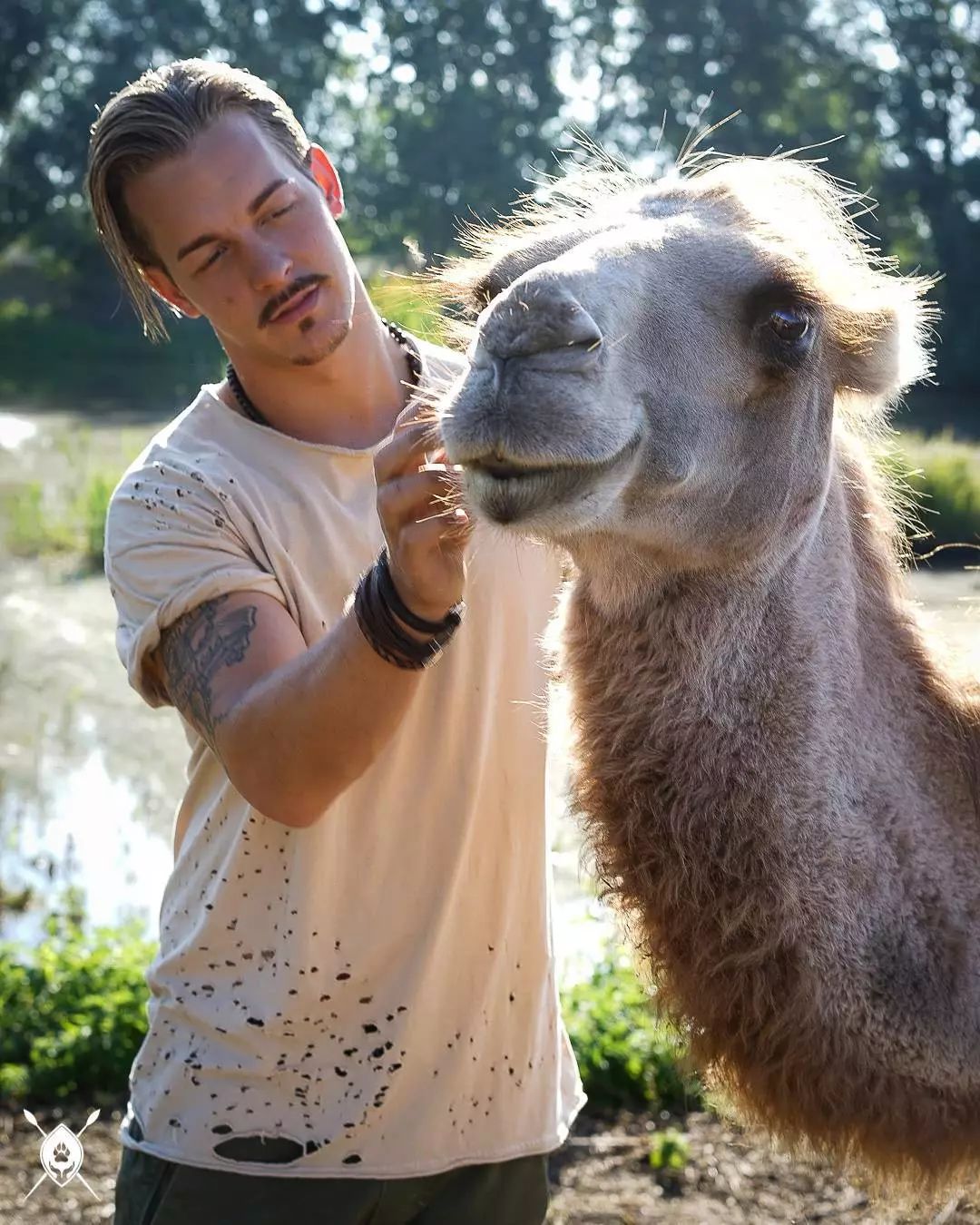 放弃百万年薪，去非洲撸猫？长腿版小李子引63w人舔屏：看我看我