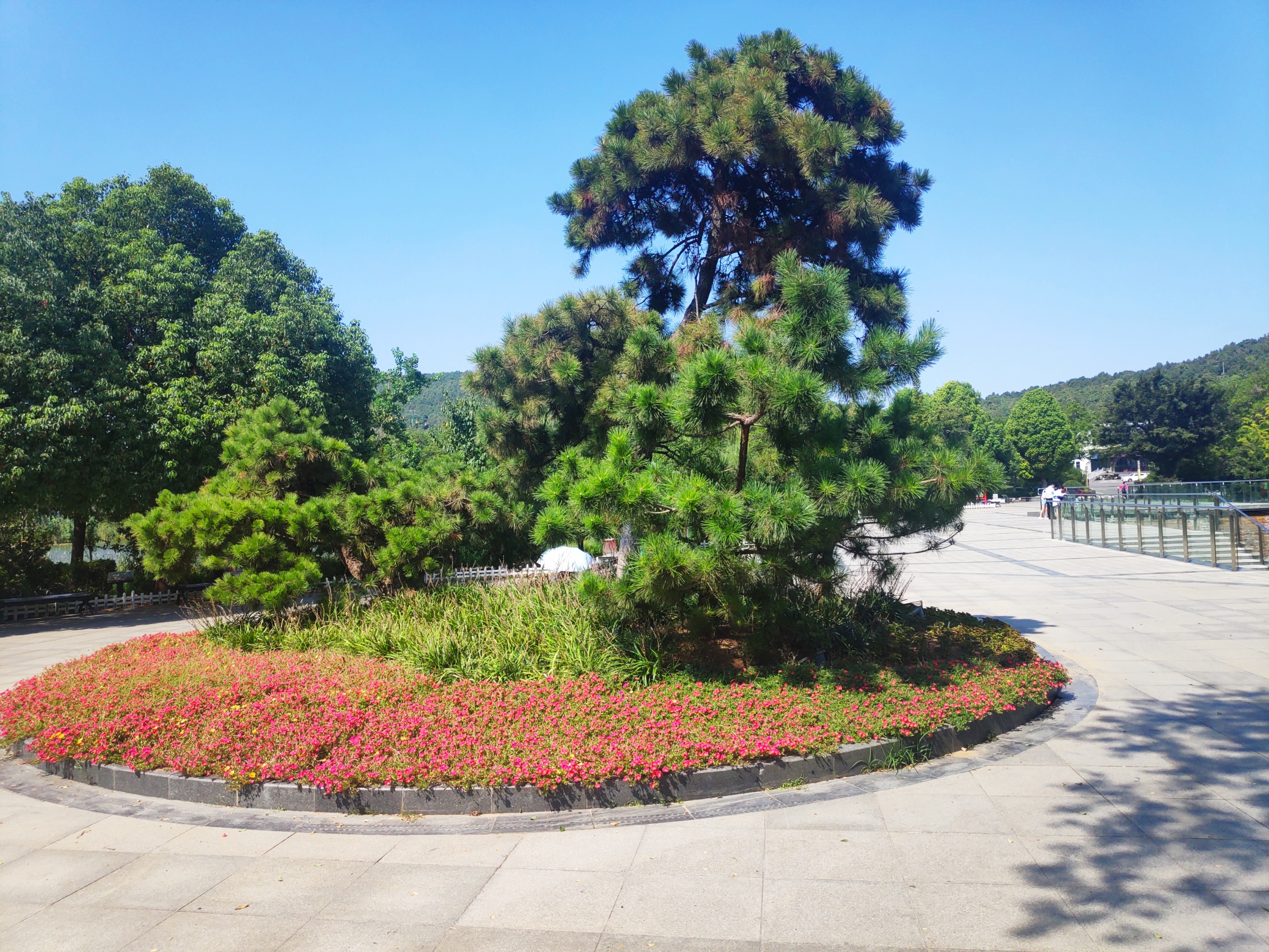 徐州彭祖楼和彭祖园,彭祖园石雕