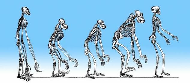 电商进化之路三个过程是什么,三代电商演化历程