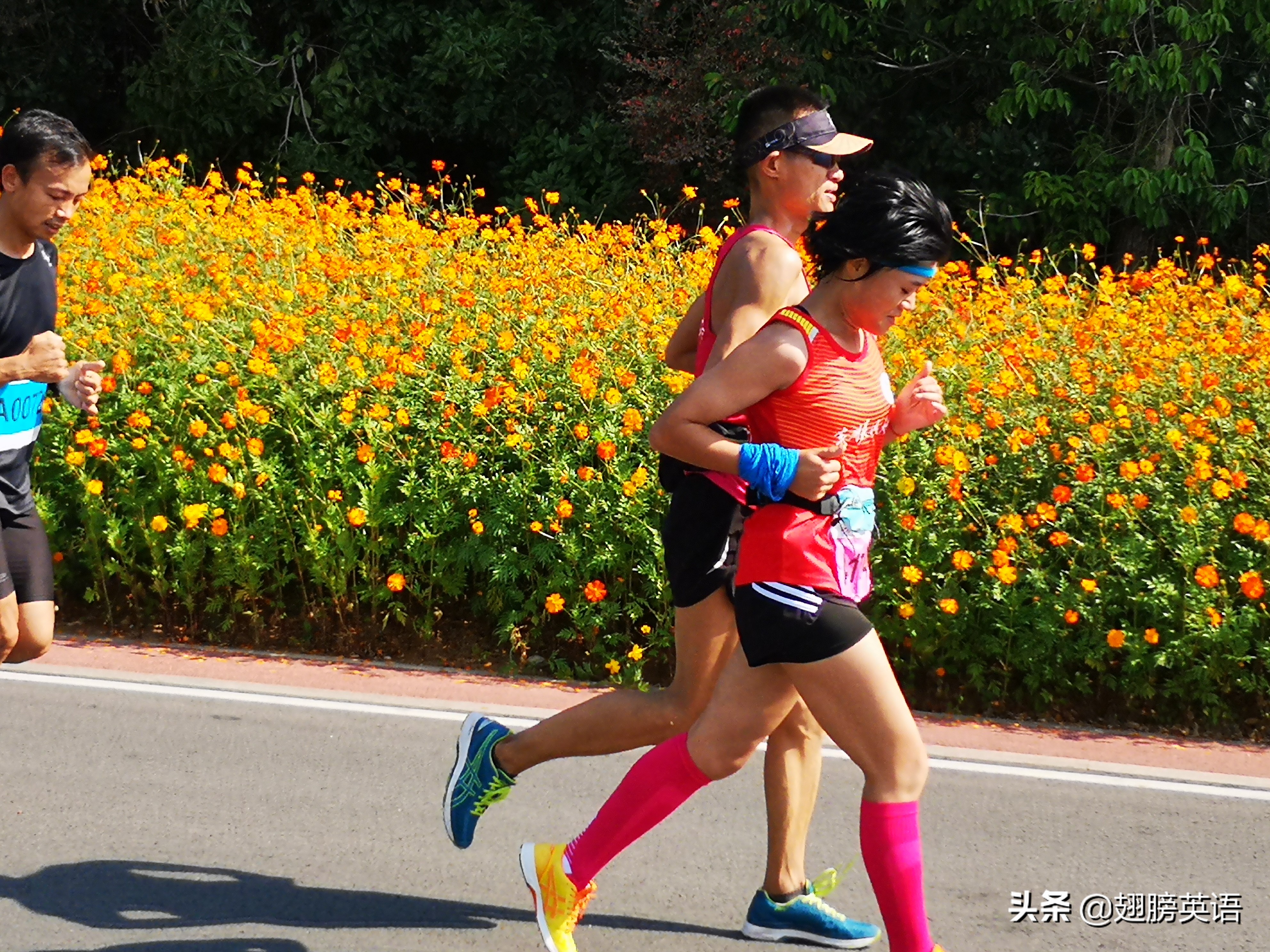 经典句型“本想做某事（暗含没有做）”精讲