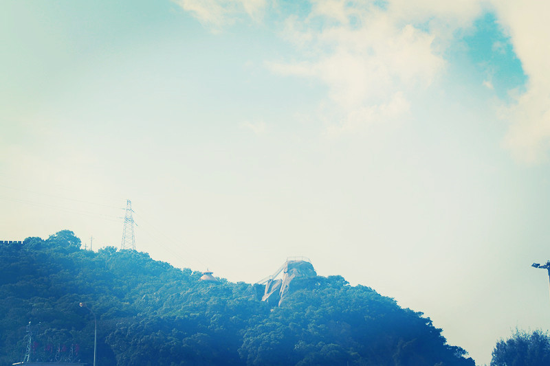 高三英语阅读理解必背单词,高中春考必背英语词汇3500词