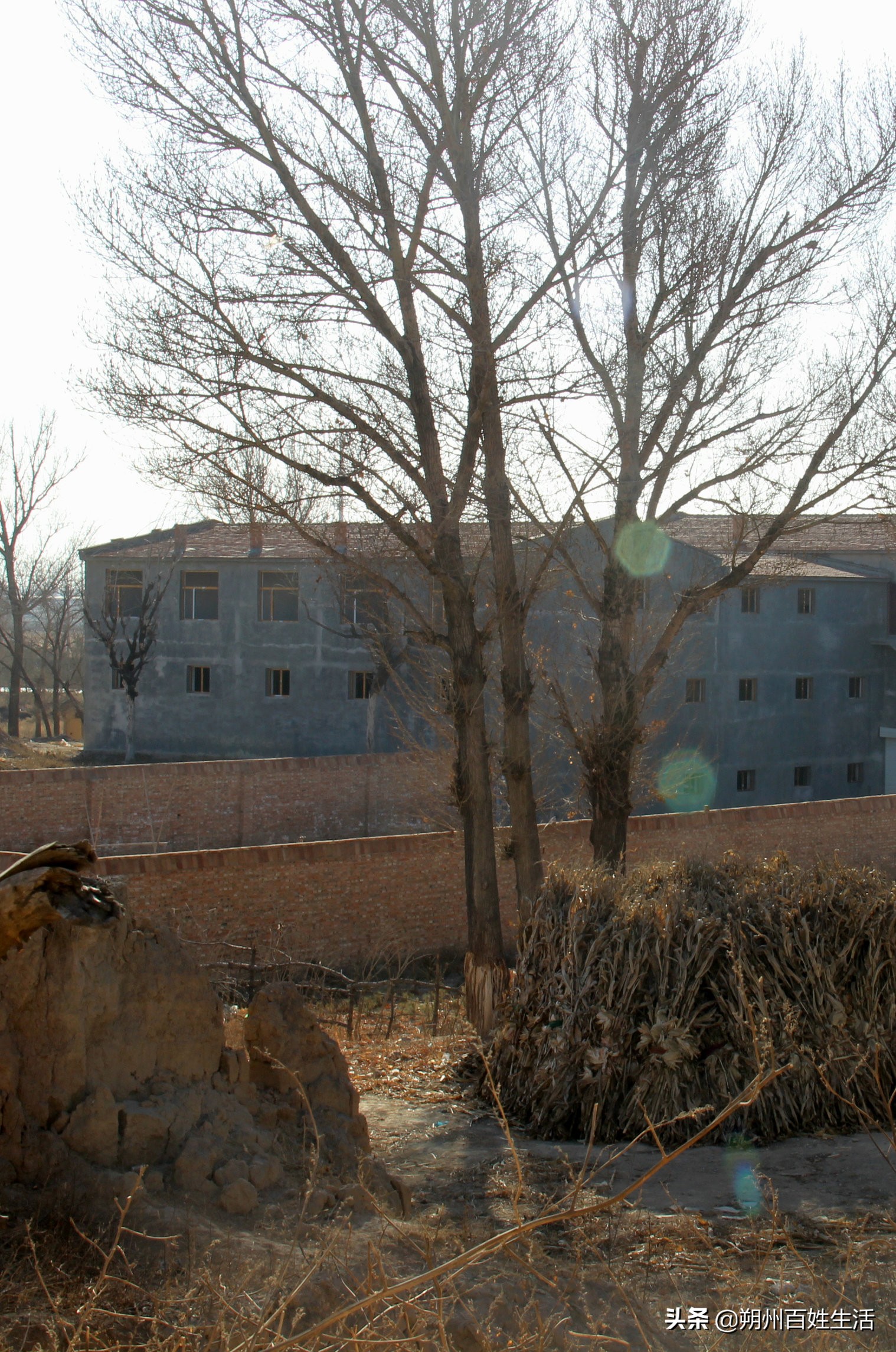 朔州：张耀元宅家随笔五则