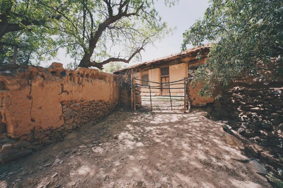 可盐可甜是哪首歌的歌词,可盐可甜出自哪