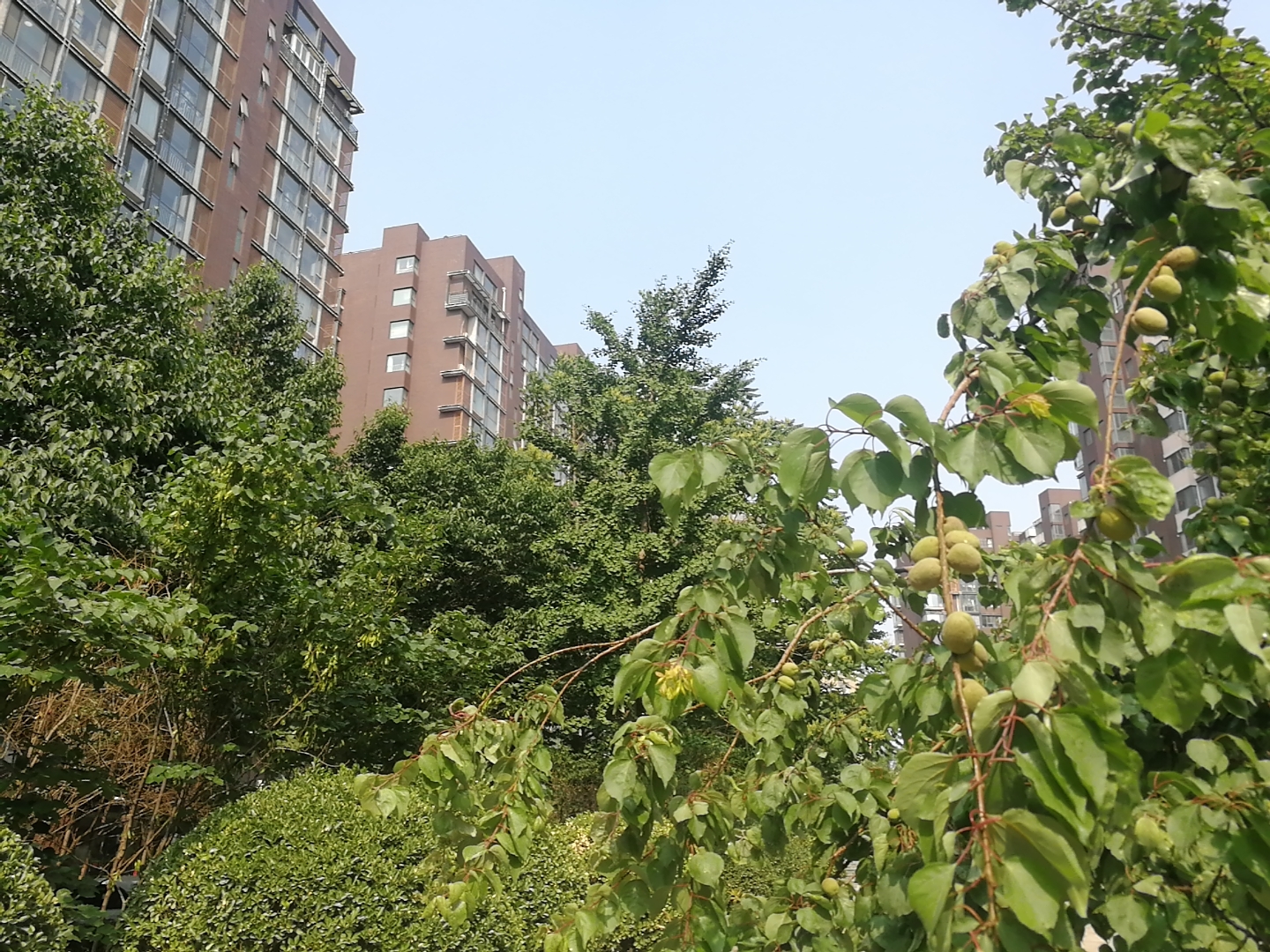 北京老破小和新远大哪个好,北京老破小买房合适吗