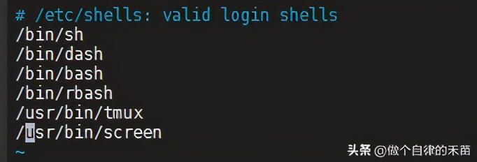 Day265:#!/bin/sh与#!/bin/bash区别