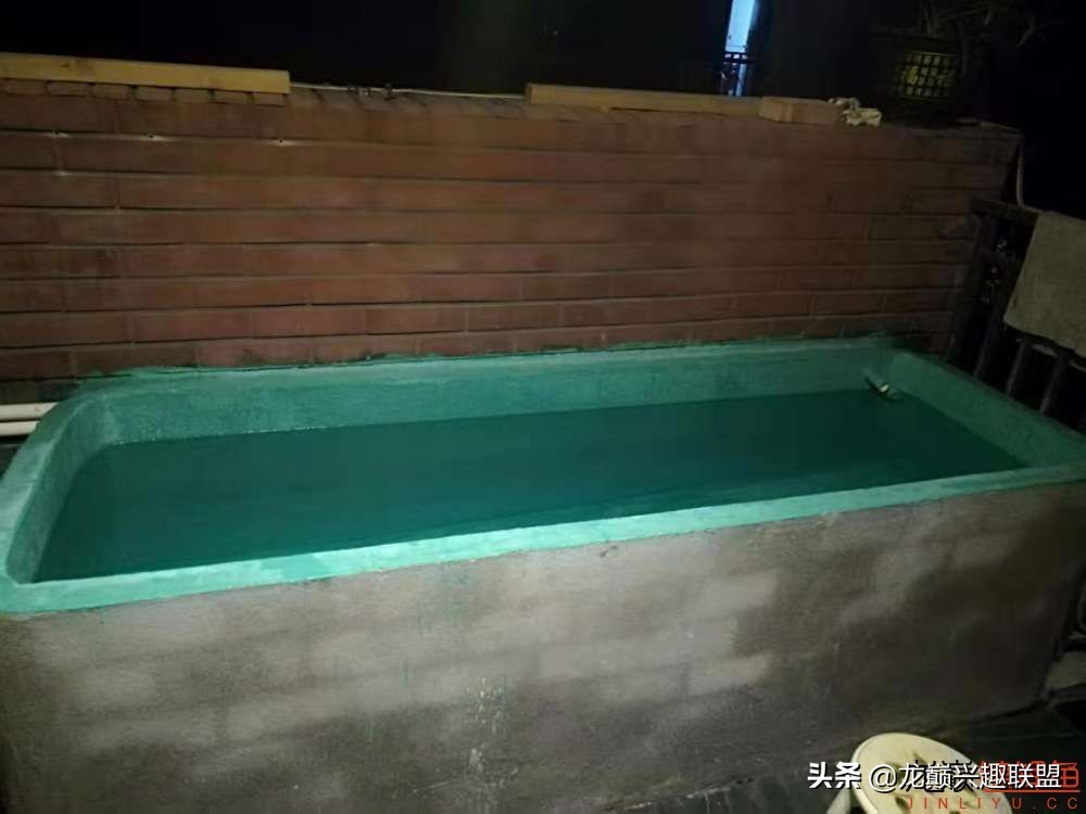 鱼友自制龙鱼缸,自制锦鲤鱼食配方及全过程