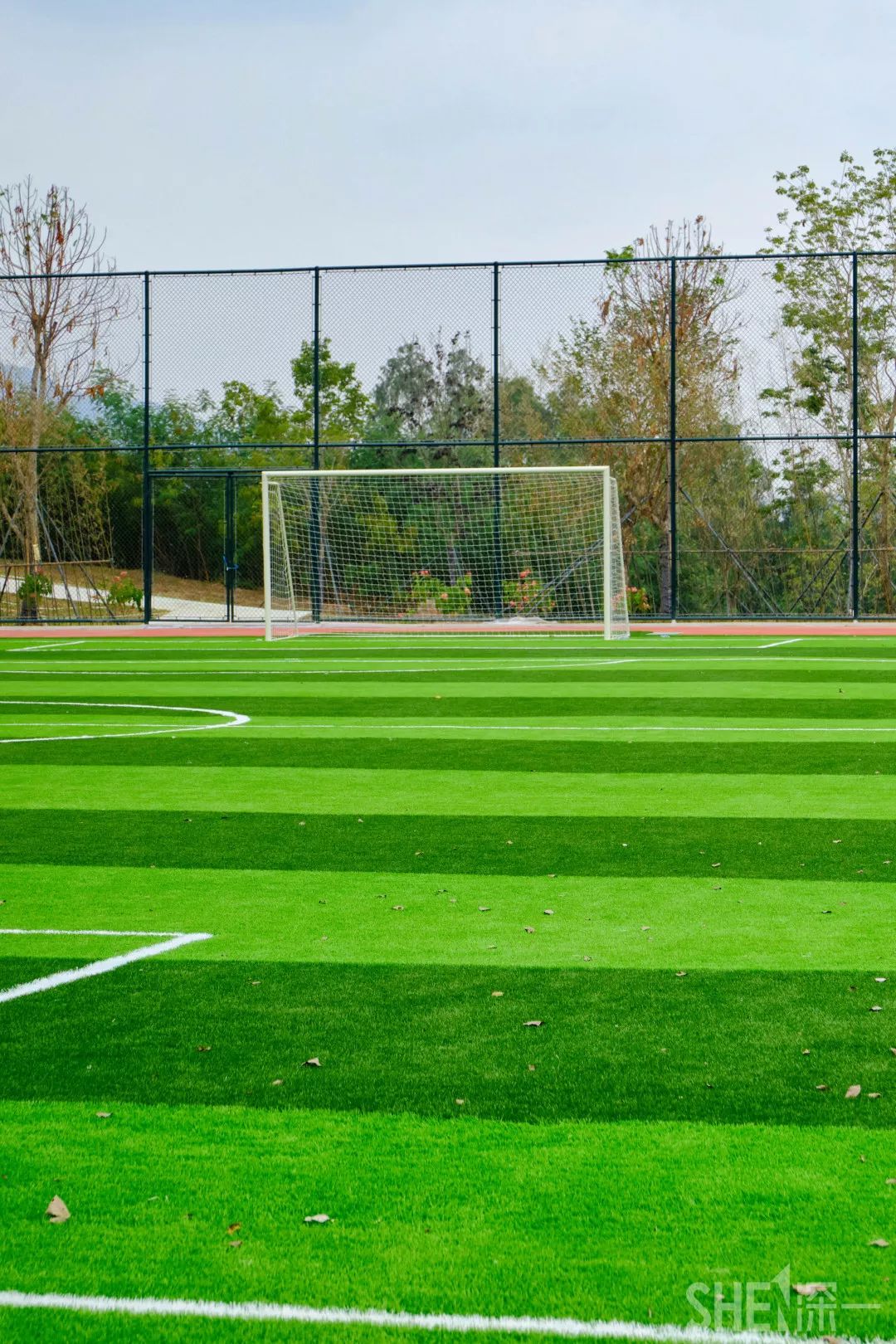 龙华新公园在哪里,深圳龙华区免费的公园