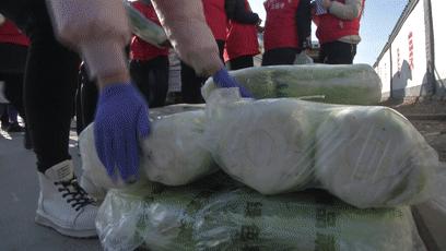 土豆白菜大萝卜,“蔚小代”让它们又抢手了