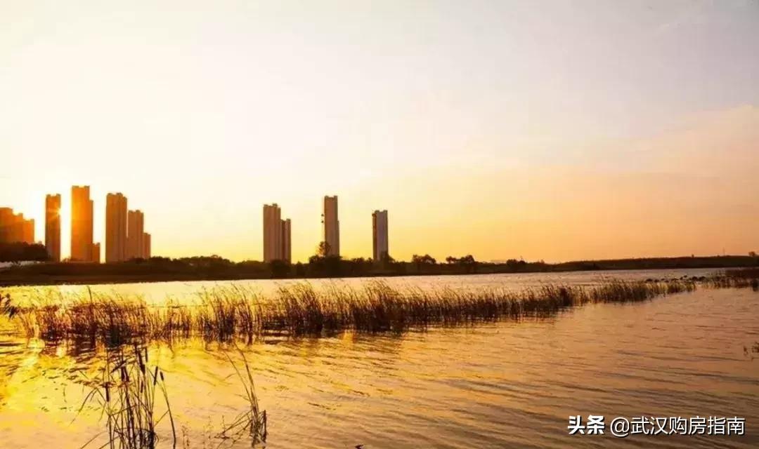 光谷不容小觑,光谷未来重大项目