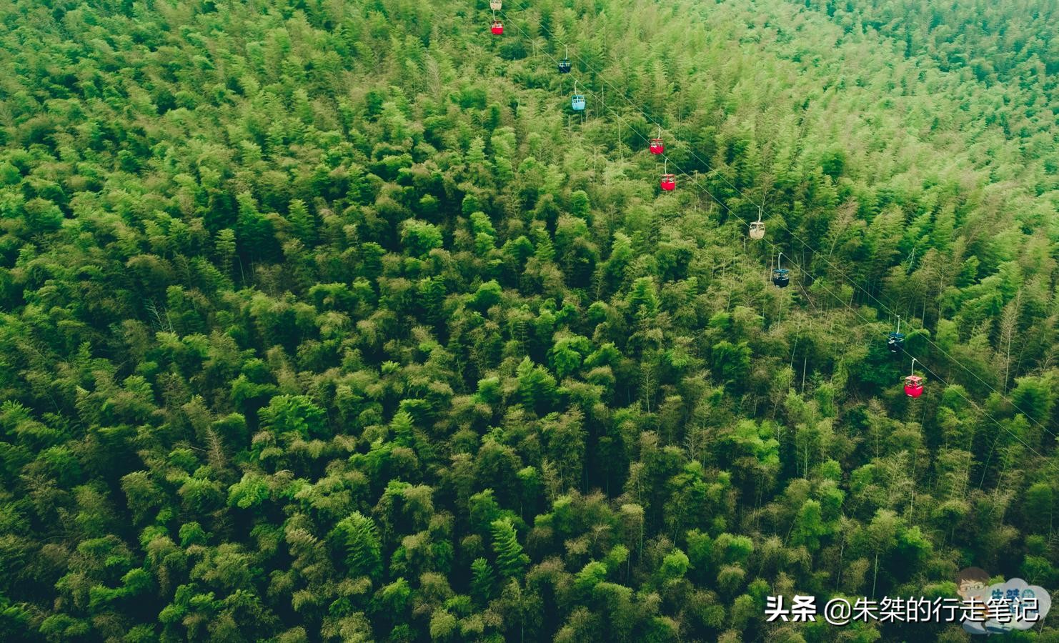 最美竹海在哪里,中国最美竹海风景区