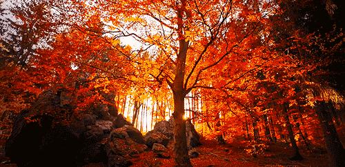 华溪堂焕颜美肌,华溪堂和华颜美肌的区别是什么