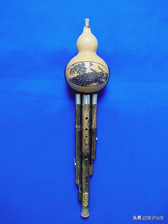 葫芦丝学习入门零基础,葫芦丝零基础入门技巧