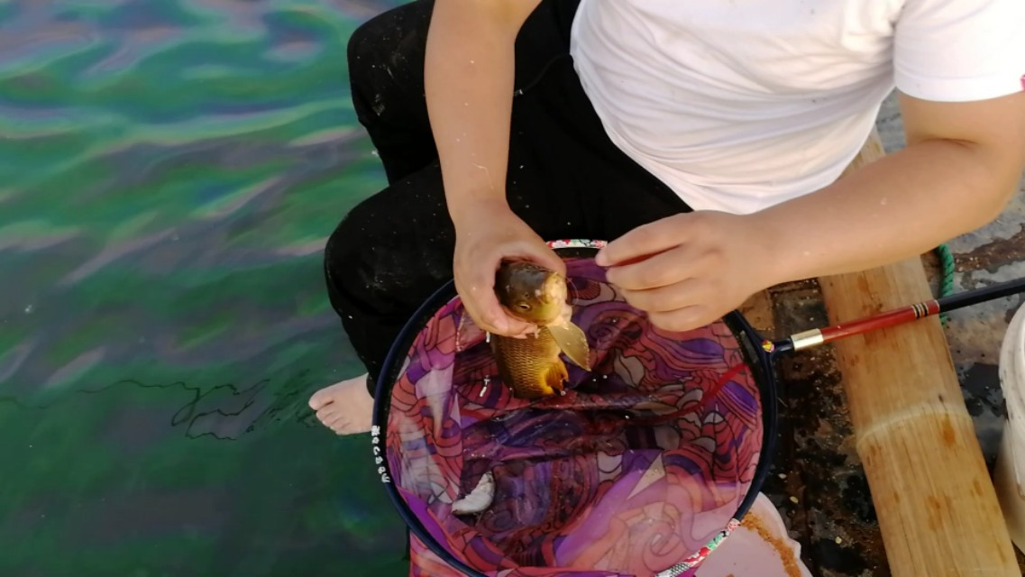 钓鱼没有技巧全靠资源,钓鱼没口怎么办让我来教你吧