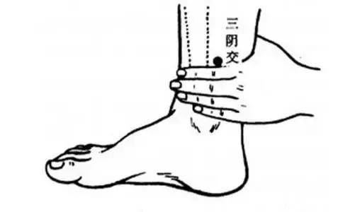 【原创科普】养出好卵子，你需要Get这些新技能！