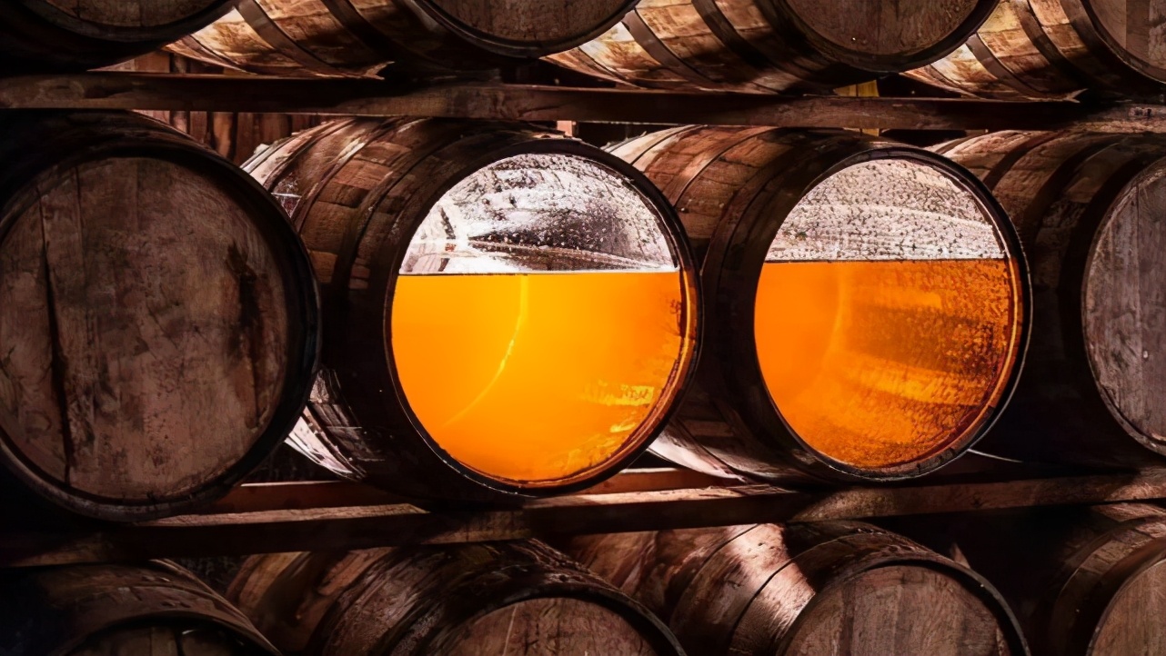 白松黑露，在丽江「上演旷世传奇」