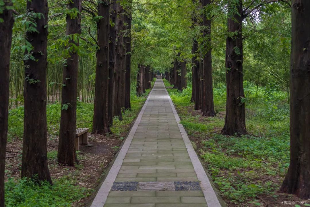 五一假期同里古镇门票,同里古镇船游票