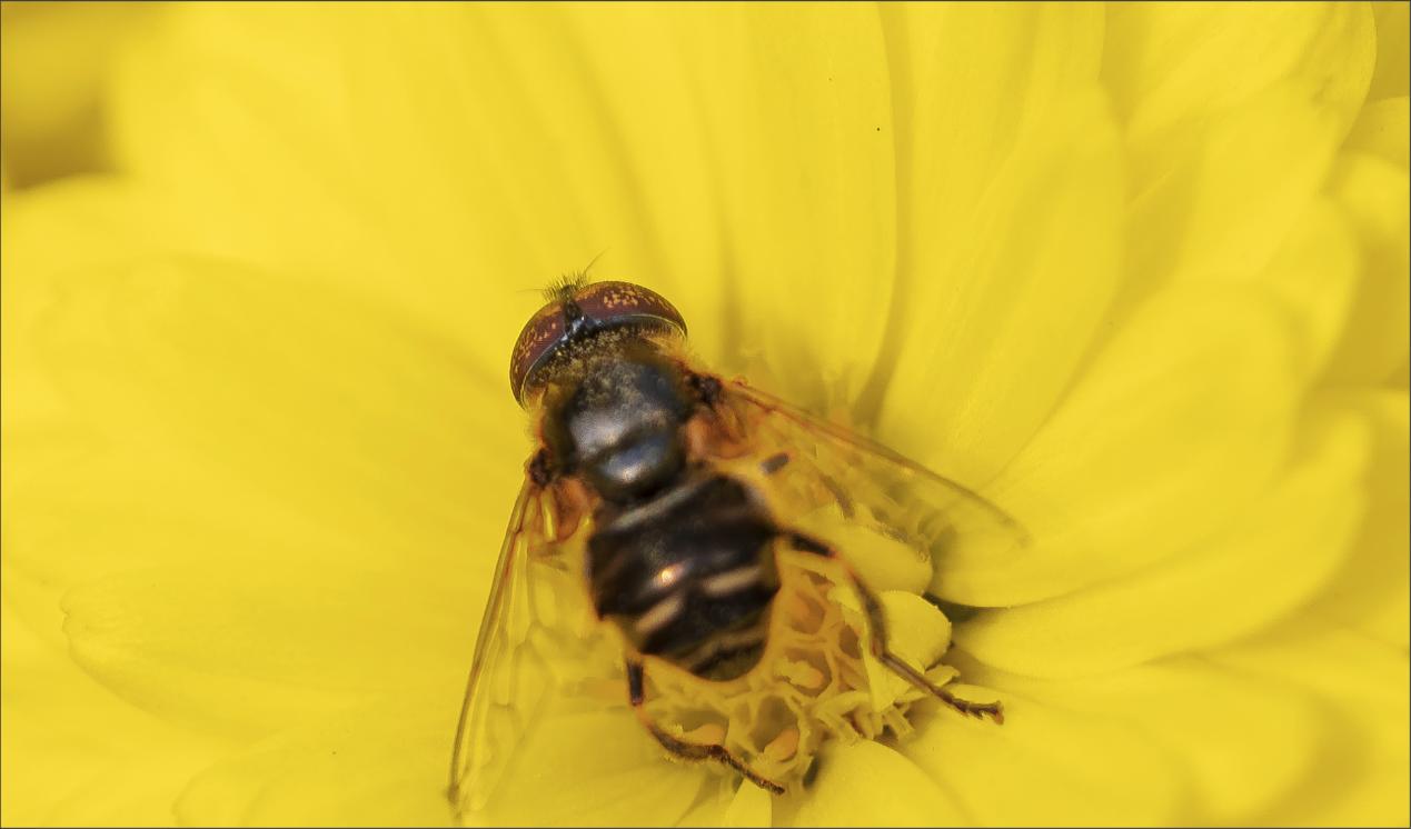 摄影小白适合高像素吗,风光摄影一定要高像素吗