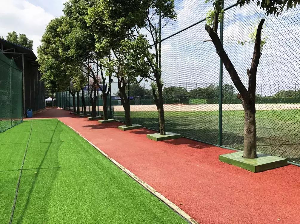 成都世警会比赛场地和时间安排,成都世警会赛程安排