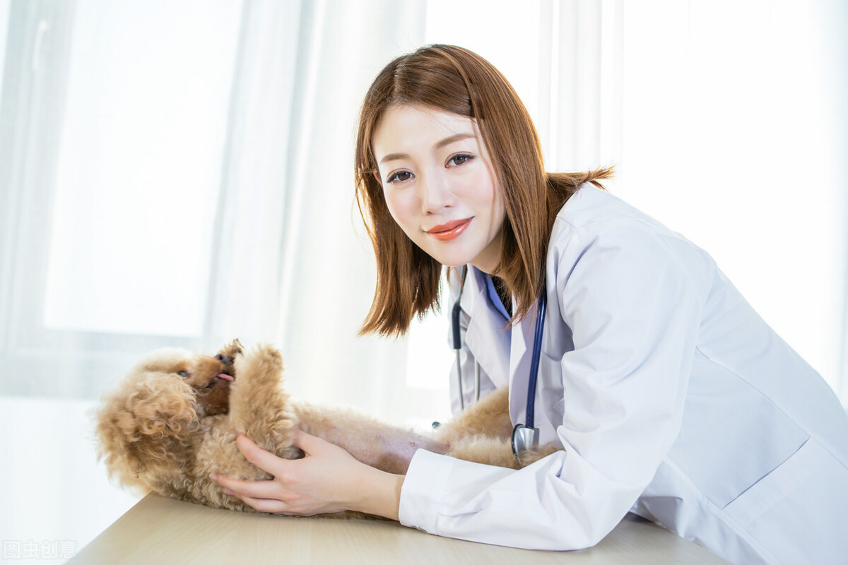 蜱虫有什么存在的意义,犬蜱虫病症状及治疗方法