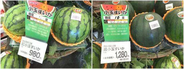 青汁真的可以减肥吗,日本青汁是不是智商税