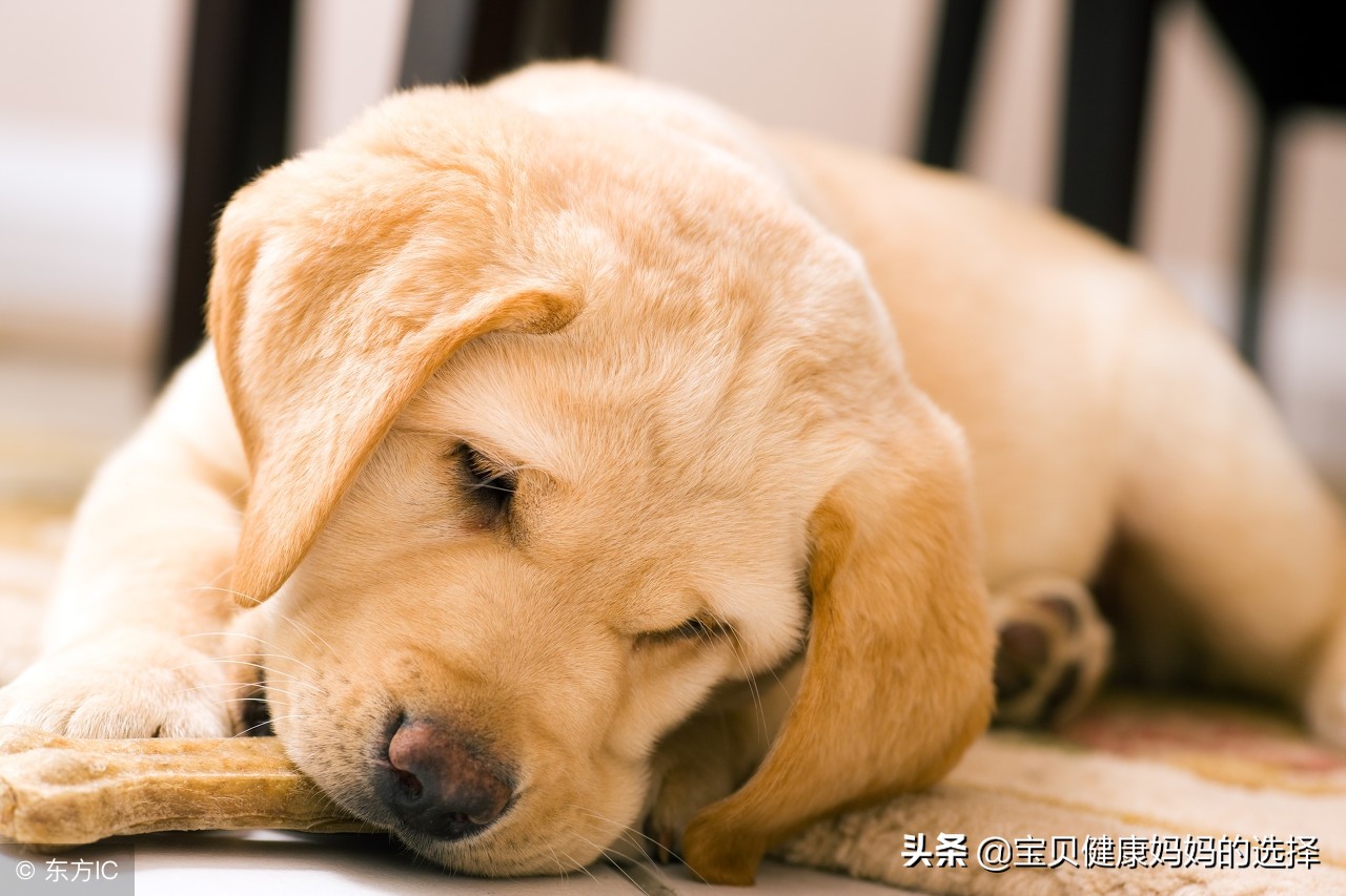 备孕指南-备孕期间准妈妈要做哪些必要准备？