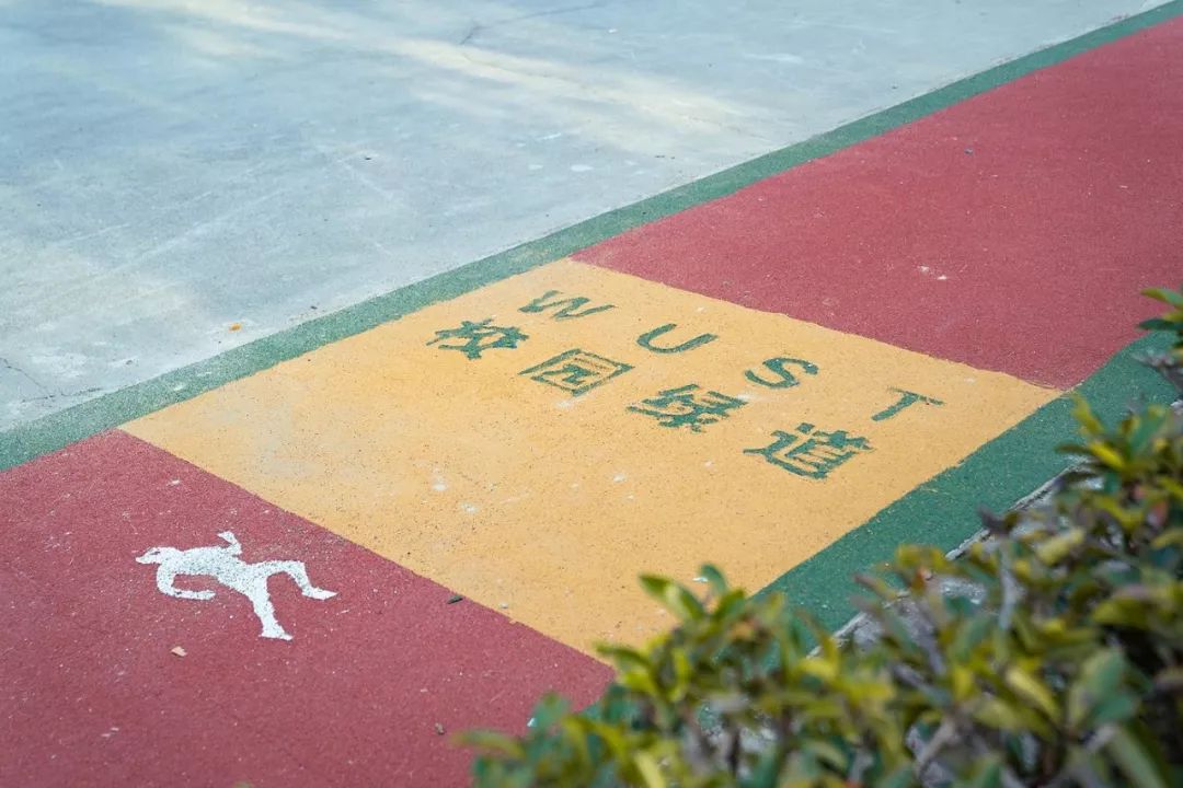 武科大算什么档次,武科大属于什么水平