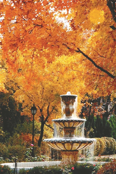 「飞阅大沈阳」瞰沈北：金秋赏美景沈北欢迎你