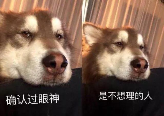 2018六大网络流行语，居然每个都与神州联保有关