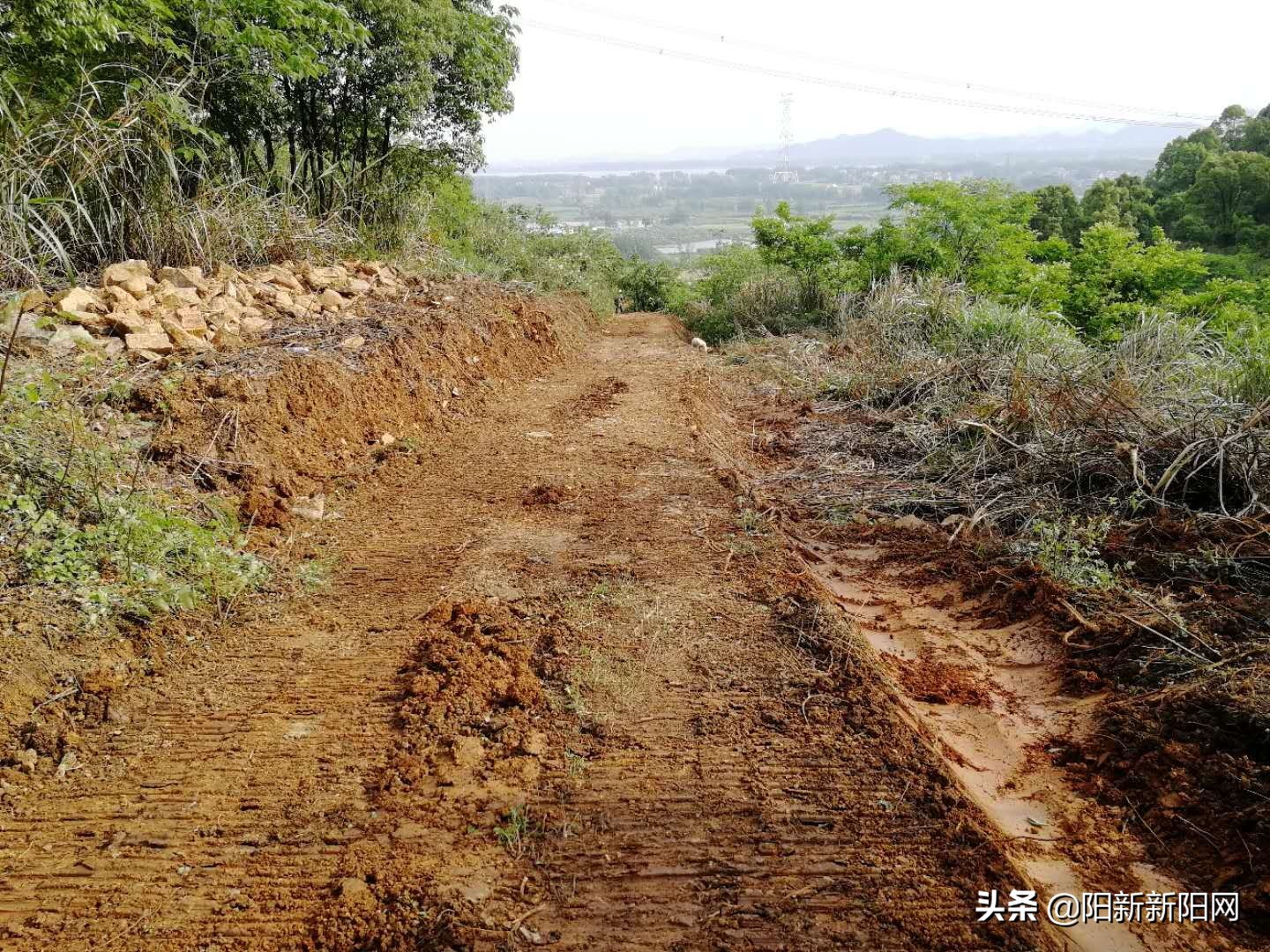 阳新县黄颡口镇发展,阳新县黄颡口镇项目