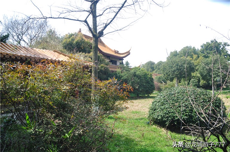 重游天一度假村,重游旧地去哪玩